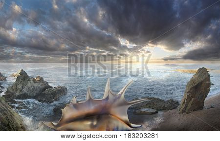 Sea dawn seashell on the beach. Sea foam on the sunset background