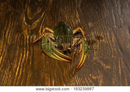 Live Crawfish On A Wooden Board