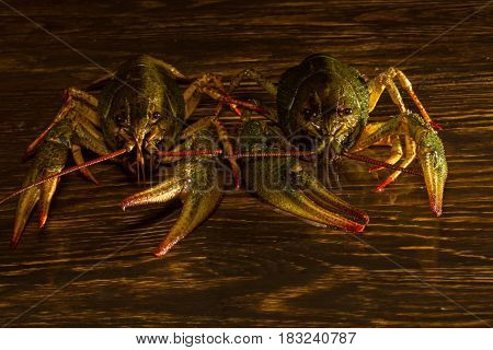 Live Crawfish On A Wooden Board