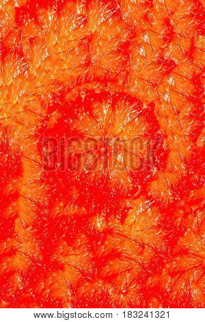 Red Citrus Fantasy