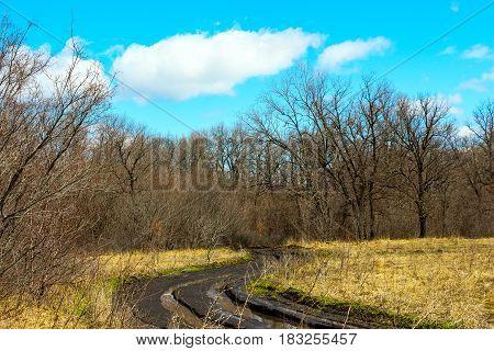 Spring landscape. Dirty spring road. Impassability and mudslides 5
