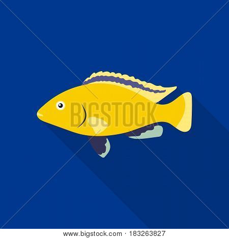 Cichlid hummingbird fish icon flat. Singe aquarium fish icon from the sea, ocean life flat.