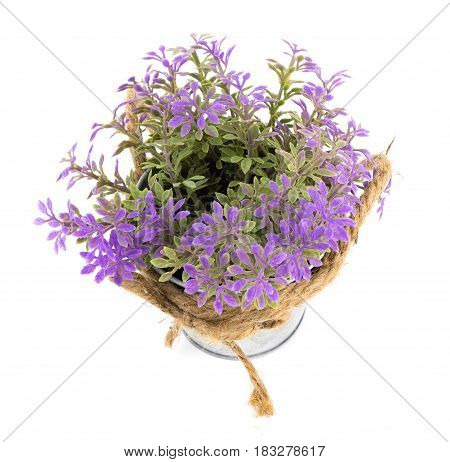 Purple Plastic flower in a metal bucket isoalted on white