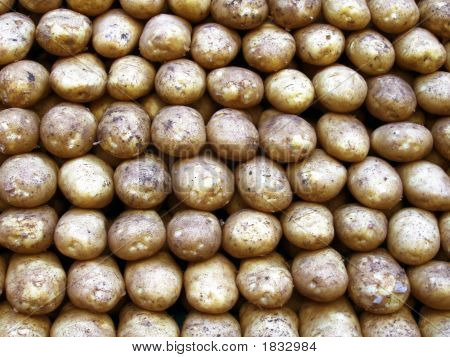 Brambory