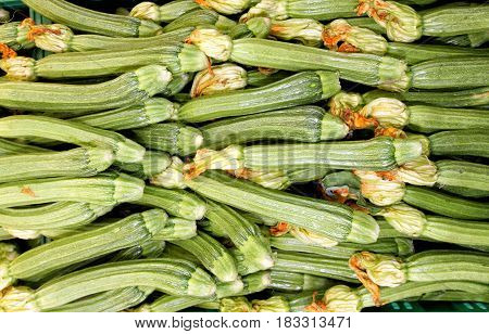 Zucchini and zucchini flowers. Many zucchini and zucchini flowers on display in a supermarket.