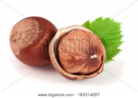 Hazelnuts with leaves isolated on white background.