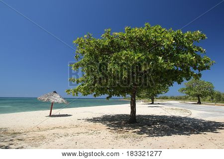 Tropical Ancon Beach in Trinidad town  Cuba