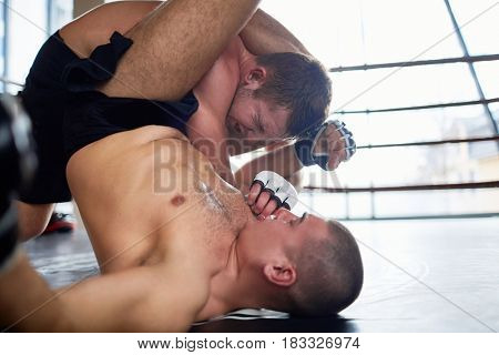 Portrait of shirtless sweaty wrestler fighting in boxing ring: tackling opponent with leg grip and performing submission hold