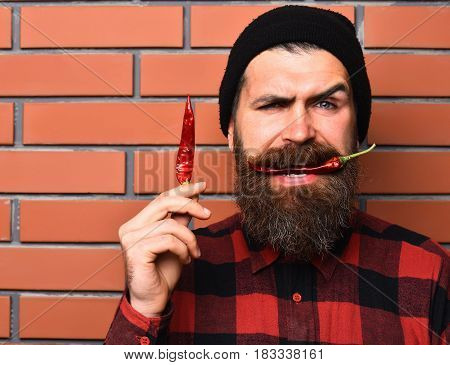 Bearded Man, Brutal Caucasian Squinting Hipster With Red Pepper