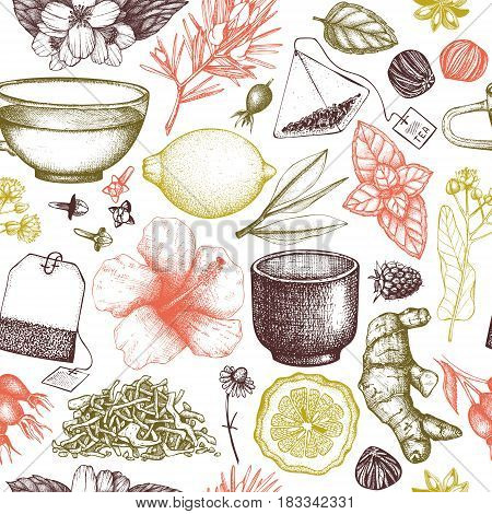 Vector background with hand drawn tea illustration. Decorative seamless pattern with vintage herbs and fruits sketch.