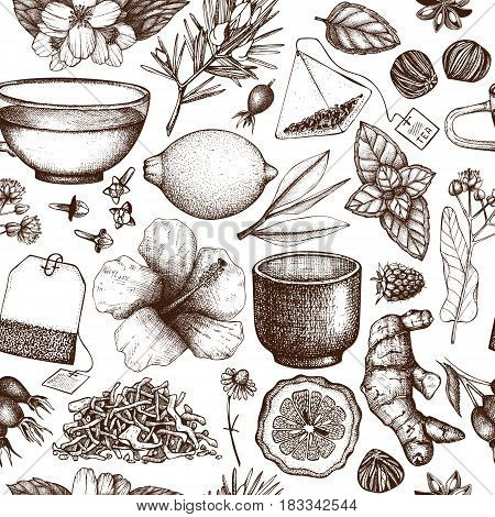 Vector background with hand drawn tea illustration. Decorative seamless pattern with vintage herbs and fruits sketch.