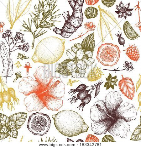 Vector background with hand drawn tea illustration. Decorative seamless pattern with vintage herbs and fruits sketch.
