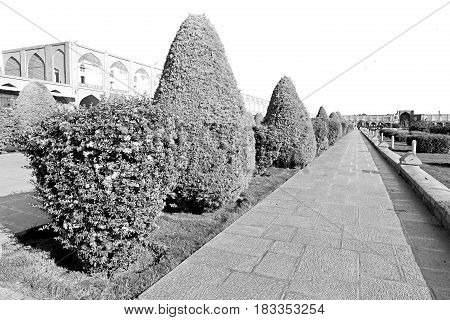 In Iran   The Old  Square