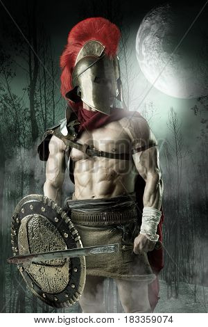 Ancient Soldier Or Gladiator