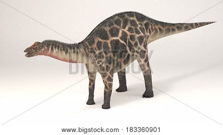 3D Computer rendering illustration of Dicraeosaurus dinosaur