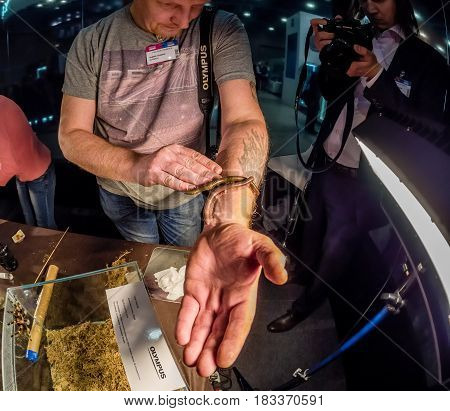 MOSCOW RUSSIA - APRIL 21 2017: Andrew Kozorog tutor of macro photography workshop at booth of Olympus company at PhotoForum 2017 demonstrate millipede in Moscow Russia on April 21 2017.