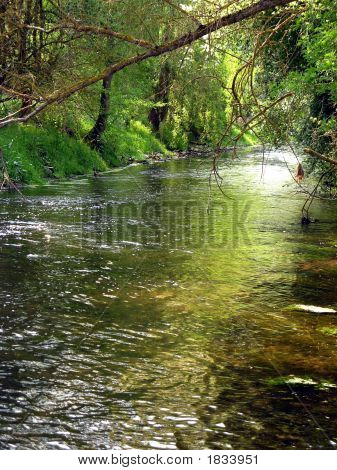 Cursus van een rivier