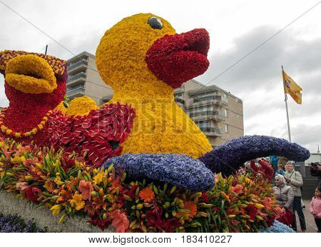 NOORDWIJK NETHERLANDS - 22 APRIL 2017: Platform with tulips and hyacinths follows the route of the traditional flowers parade Bloemencorso from Noordwijk to Haarlem in the Netherlands.