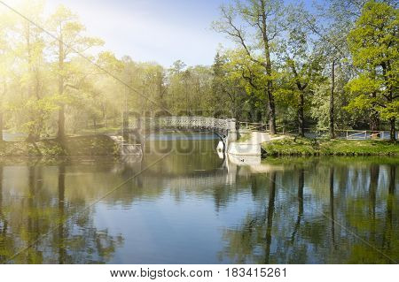 the bridge over the river and sunshine through crowns Russia (Gatchina suburb of St. Petersburg)