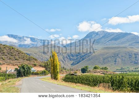 A farm landscape with the Swartberg (black mountain) in the back near Hoeko in the Western Cape Province