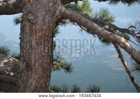 Fog Over The Rocks Of Ai Petri