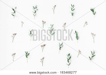Flowers composition. Pattern made of pink flowers and eucalyptus branches on white background. Flat lay top view