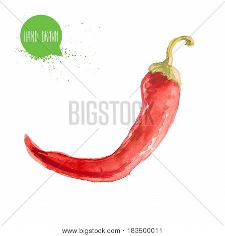 Hand drawn and painted watercolor red hot chilli pepper. Capsicum isolated on white background. Vegetable illustration