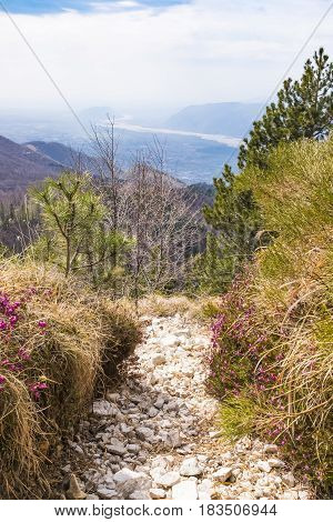 Hiking trail on Monte Chiampon with view to plain of Friuli-Venezia Giulia in Italy in spring