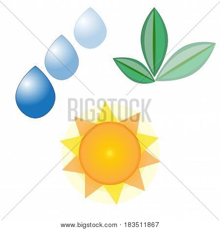 water, sun and leaves on white background, vector picture about nature,  weather