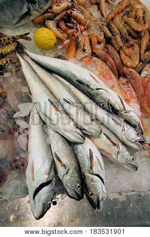 Fish presentated on ice on a local market in Spain