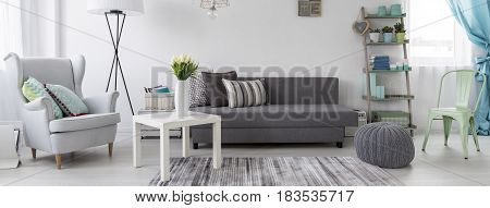 Living Room In Scandinavian Style Idea