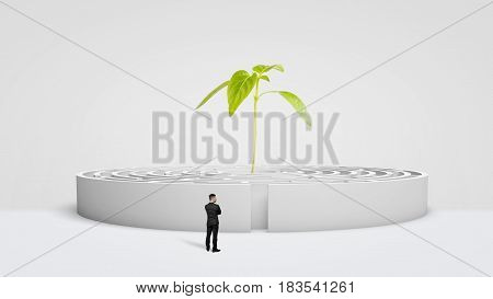 A businessman standing in front of a white round maze with a new green plant growing from its center. Growing business. Business incubator. Promising career.