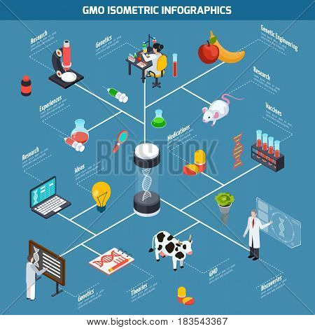 GMO isometric infographics layout from theoretical researches through genetic experiments to discovery and safety testing vector illustration
