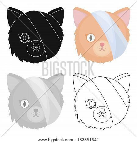 Sick cat with bandage on a head icon in cartoon design isolated on white background. Veterinary clinic symbol stock vector illustration.