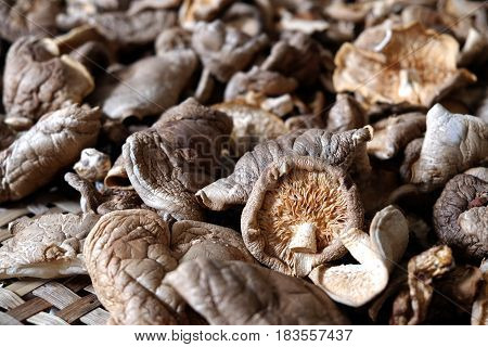 The dried Shiitake mushrooms in threshing basket