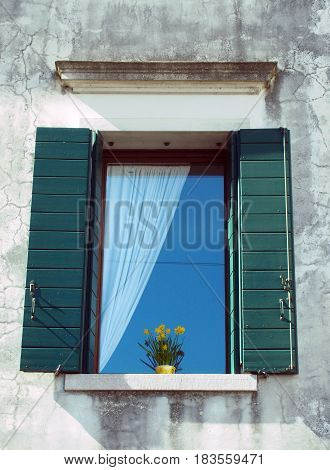 Italian window with green wooden shutters and pot plant against a white wall