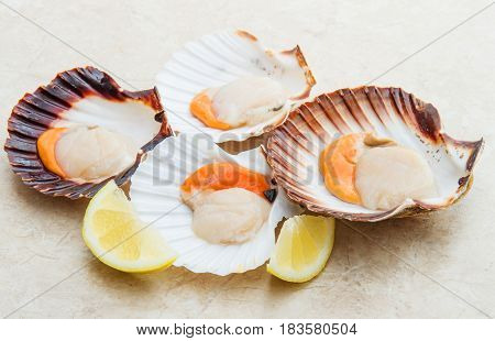 some Fresh scallops group on marble with lemon