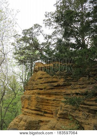 Colorful sandstone and limestone rock cliff or outcrop along the trail to St. Louis Canyon at Starved Rock State Park with trees in spring.
