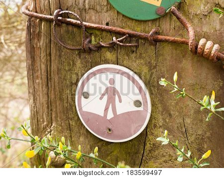 A walking sign on a post with a man in a circle trail leading the direction path