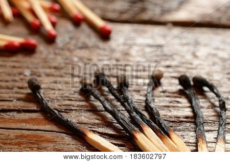 A close up image of several burnt wooden matchsticks.