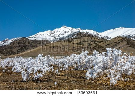 The Snow Mountain Of Tianshan Near The Sailimu Lake In Spring Time Of Xinjiang.