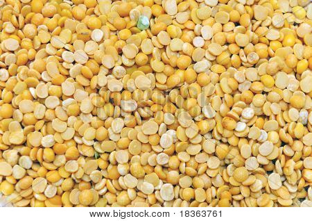 トアー dal、黄色の鳩豆とも呼ばれる有名なインドのマメ科植物