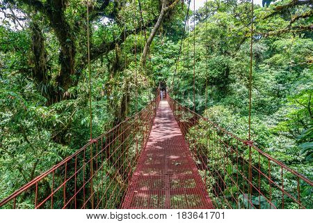 Wide angle view of suspended Bridge at Monteverde Cloud Forest, Costa Rica