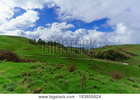 Beautiful Waitomo scenic landscape in New Zealand