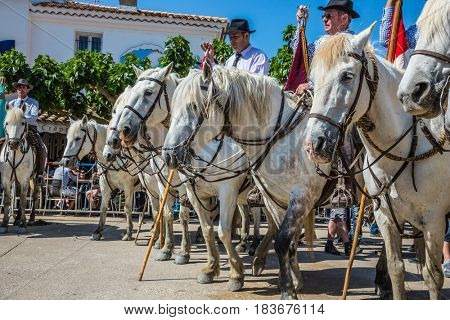 Sent-Mari-de-la-Mer, Provence, France - May 25, 2015. The concept of ethnographic and active tourism. Security guards on  white horses expect the beginning of a parade of the World festival of Gypsies