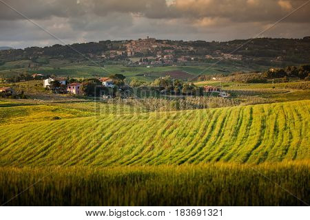 Casale Marittimo, Pisa, Tuscany - Italy