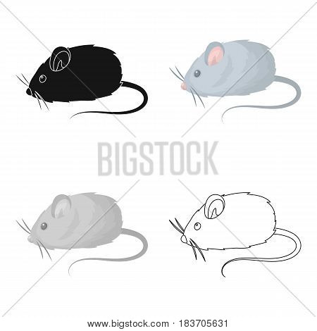 Mouse toy.Pet shop single icon in cartoon style vector symbol stock illustration .
