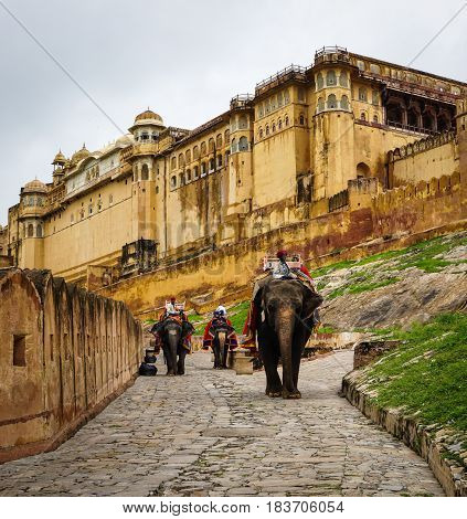 People Riding Elephants At Amber Fort In Jaipur, India