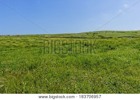 Walking Through The Municipality Of Ajo In Cantabria