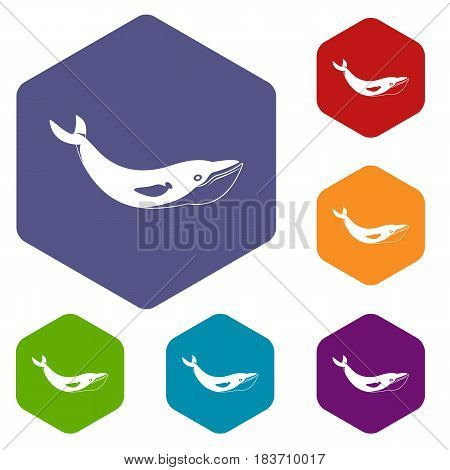 Whale icons set hexagon isolated vector illustration